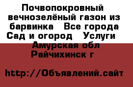 Почвопокровный, вечнозелёный газон из барвинка - Все города Сад и огород » Услуги   . Амурская обл.,Райчихинск г.